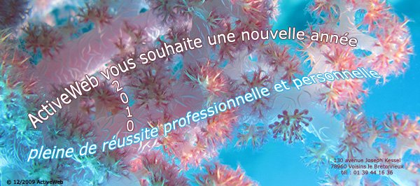 Meilleurs Voeux 2010